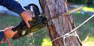 Best Weed Control  in Eufaula, OK