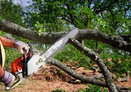 Best Grass Overseeding  in Eufaula, OK